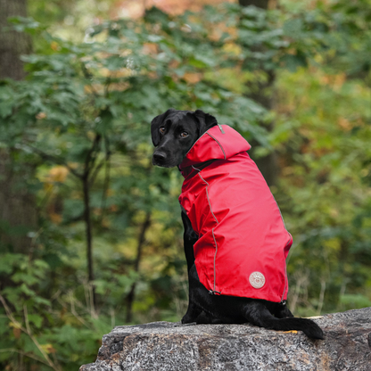 GF Pet Reversible Elasto-Fit Raincoat - Red