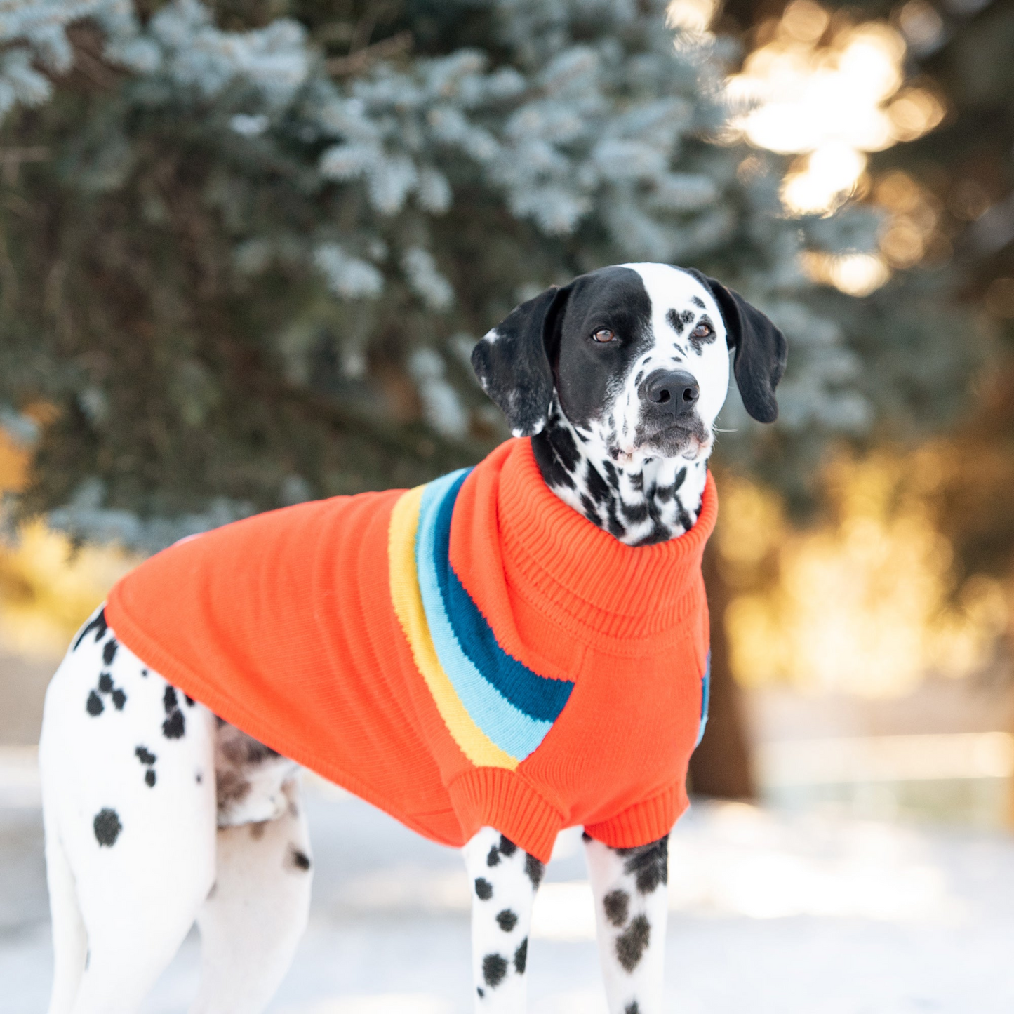 Mantente cómodo con estilo con el suéter Alpine en naranja