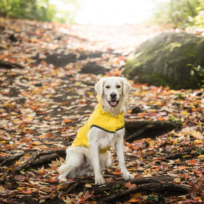 GF Pet Reversible Elasto-Fit Raincoat - Yellow