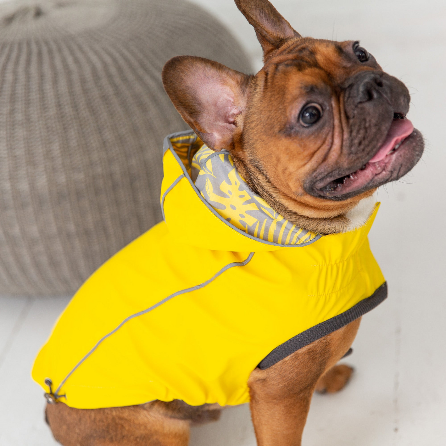 GF Pet Reversible Elasto-Fit Raincoat - Yellow