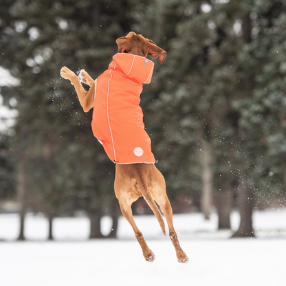 GF PET Insulated Raincoat - Orange