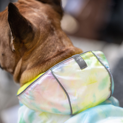 GF Pet Reversible Raincoat - Neon Yellow with Tie Dye