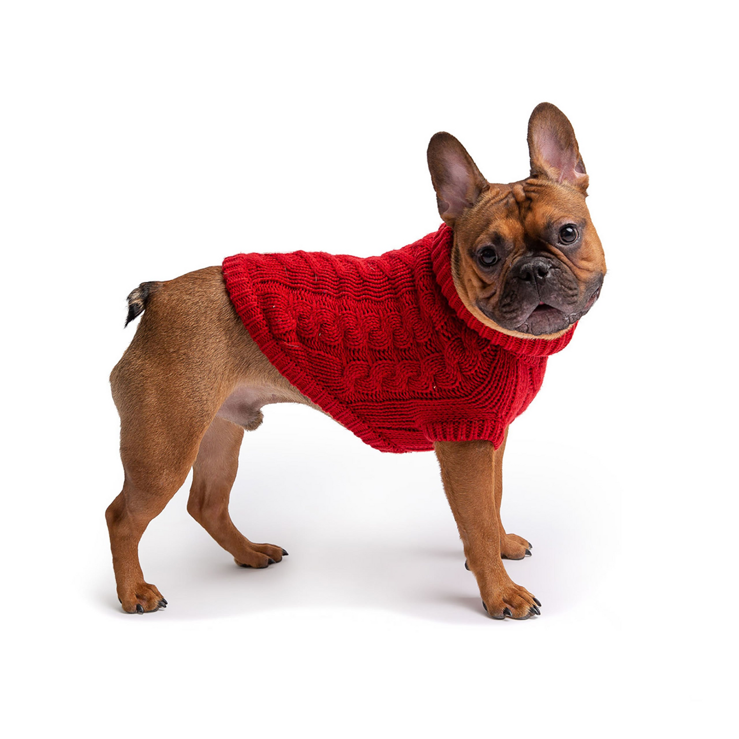 Wrap Your Pup in Luxury with the GF PET Chalet Sweater in Rich Red