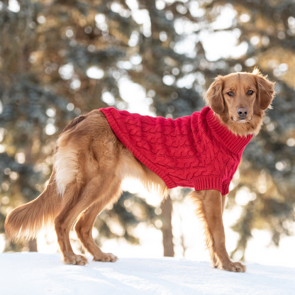 Wrap Your Pup in Luxury with the GF PET Chalet Sweater in Rich Red