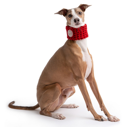 GF PET Chalet Tube Scarf - Red