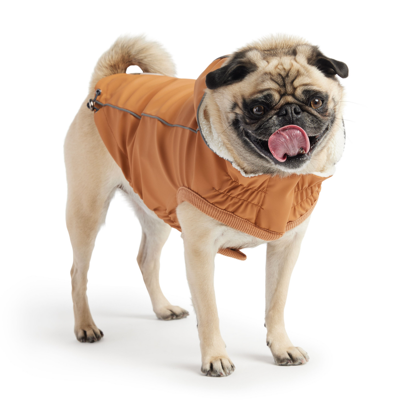 GF Pet Insulated Raincoat - Hazel