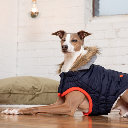 GF Pet Winter Sailor Parka - Navy