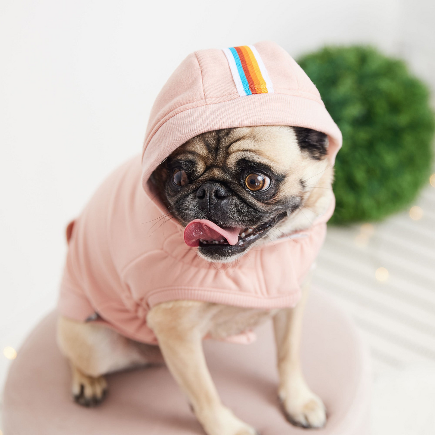 GF Pet Urban Hoodie - Pink