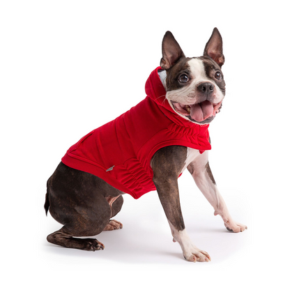 Keep Your Pup Stylishly Cozy in the GF PET Urban Hoodie in Vibrant Red