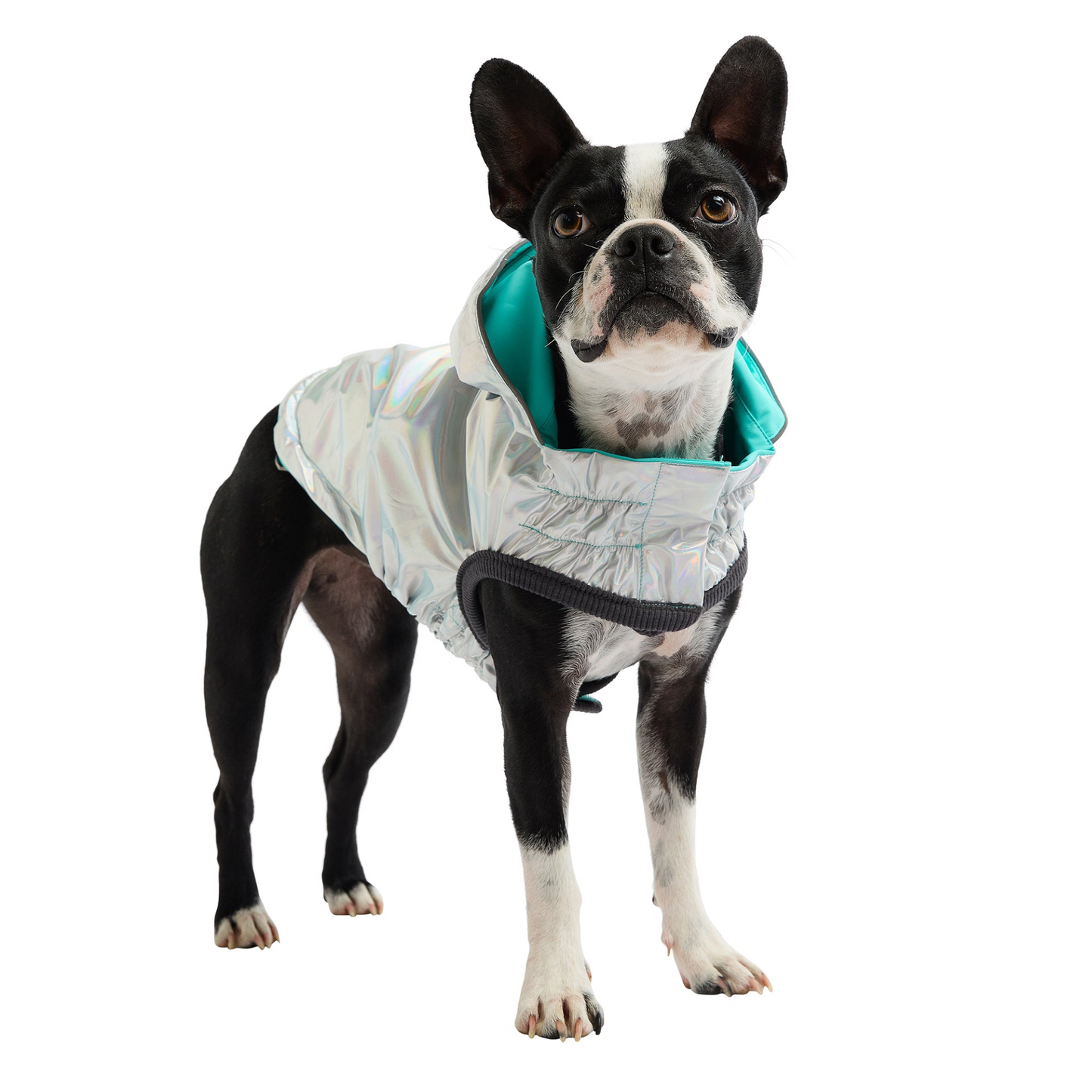 GF Pet Reversible Raincoat - Neon Aqua with Iridescent