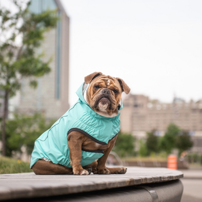 GF Pet Reversible Raincoat - Neon Aqua with Iridescent