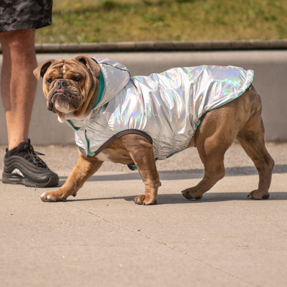 GF Pet Reversible Raincoat - Neon Aqua with Iridescent