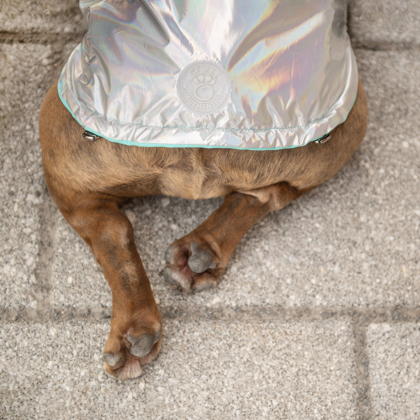 GF Pet Reversible Raincoat - Neon Aqua with Iridescent