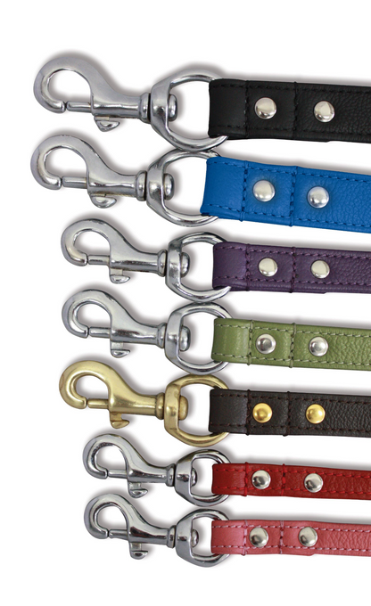 Alpine Dog Leash - Experience Unrivaled Comfort and Style