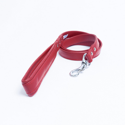 Alpine Dog Leash - Experience Unrivaled Comfort and Style