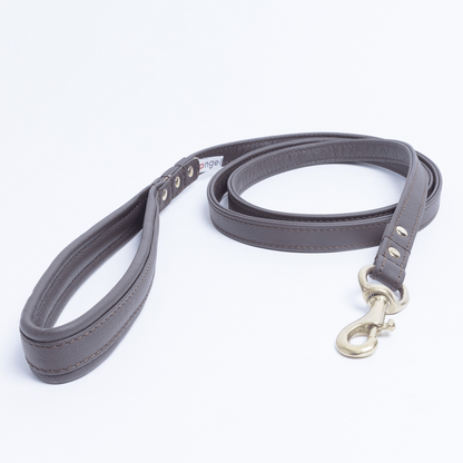 Alpine Dog Leash - Experience Unrivaled Comfort and Style