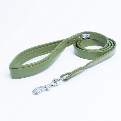 Alpine Dog Leash - Experience Unrivaled Comfort and Style