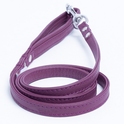 Alpine Dog Leash - Experience Unrivaled Comfort and Style