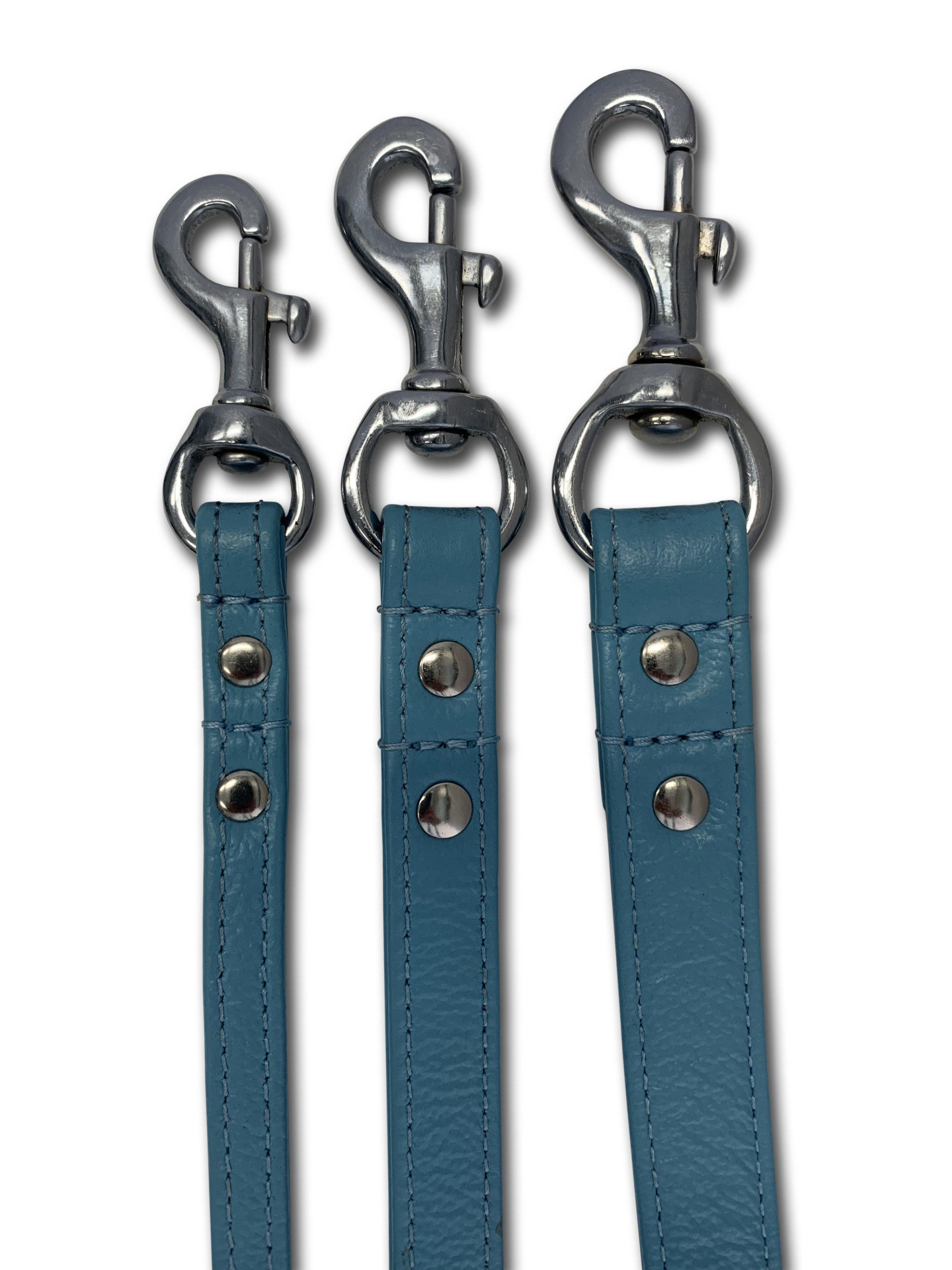 Alpine Dog Leash - Experience Unrivaled Comfort and Style