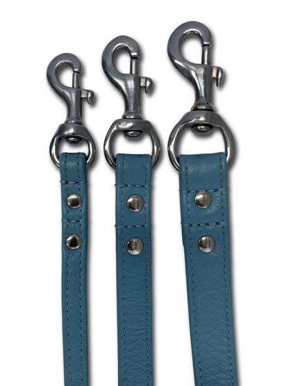 Alpine Dog Leash - Experience Unrivaled Comfort and Style