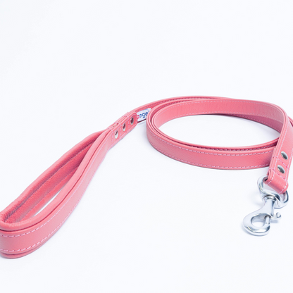 Alpine Dog Leash - Experience Unrivaled Comfort and Style