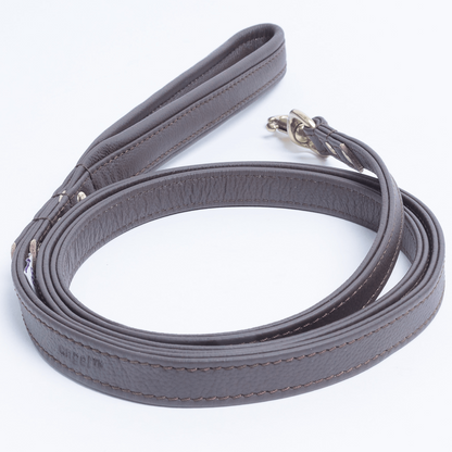 Alpine Dog Leash - Experience Unrivaled Comfort and Style