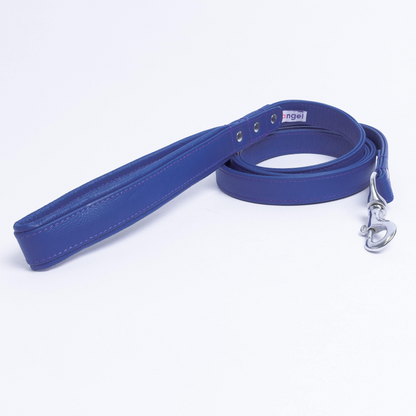 Alpine Dog Leash - Experience Unrivaled Comfort and Style