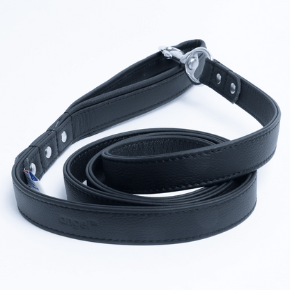 Alpine Dog Leash - Experience Unrivaled Comfort and Style