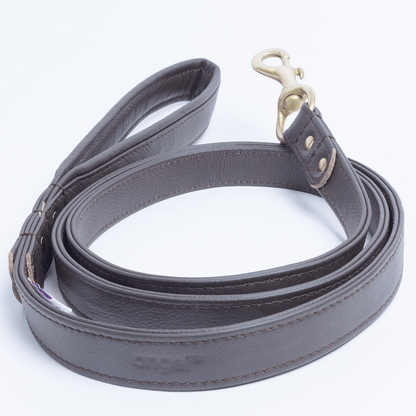 Alpine Dog Leash - Experience Unrivaled Comfort and Style