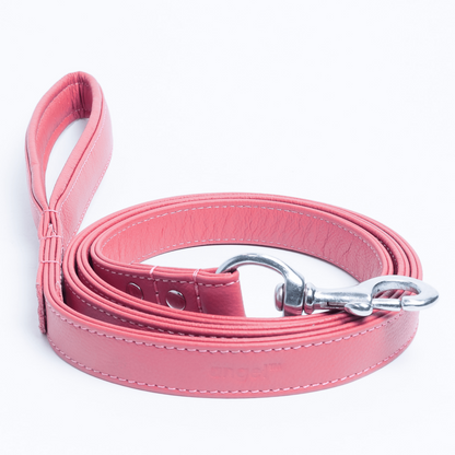 Alpine Dog Leash - Experience Unrivaled Comfort and Style