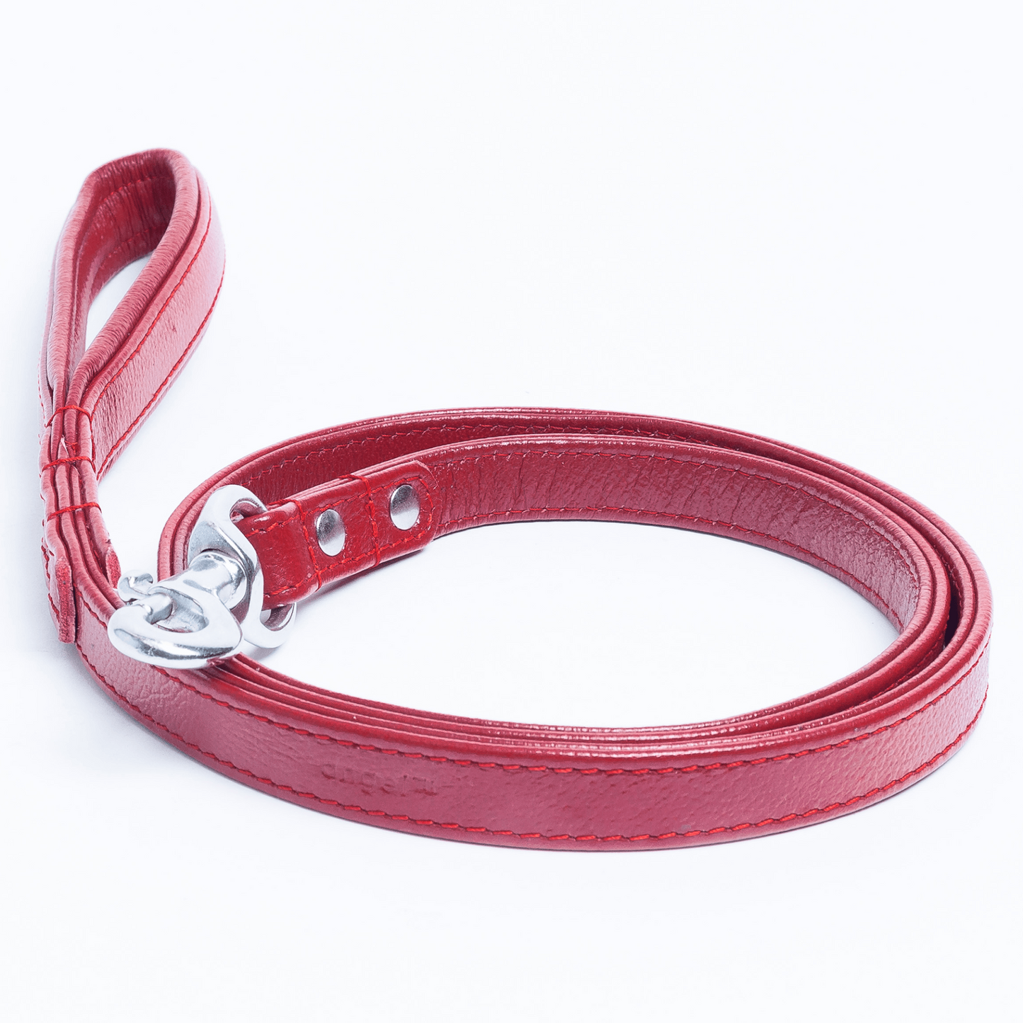 Alpine Dog Leash - Experience Unrivaled Comfort and Style