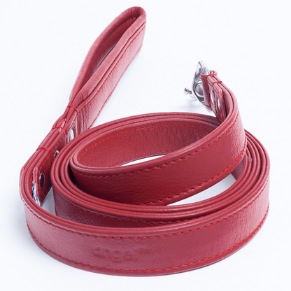 Alpine Dog Leash - Experience Unrivaled Comfort and Style