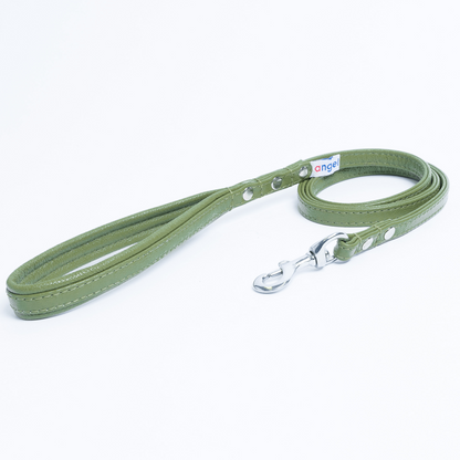 Alpine Dog Leash - Experience Unrivaled Comfort and Style