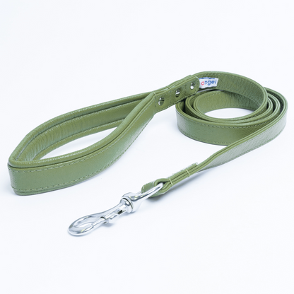 Alpine Dog Leash - Experience Unrivaled Comfort and Style