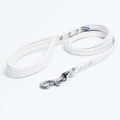 Alpine Dog Leash - Experience Unrivaled Comfort and Style