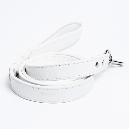 Alpine Dog Leash - Experience Unrivaled Comfort and Style