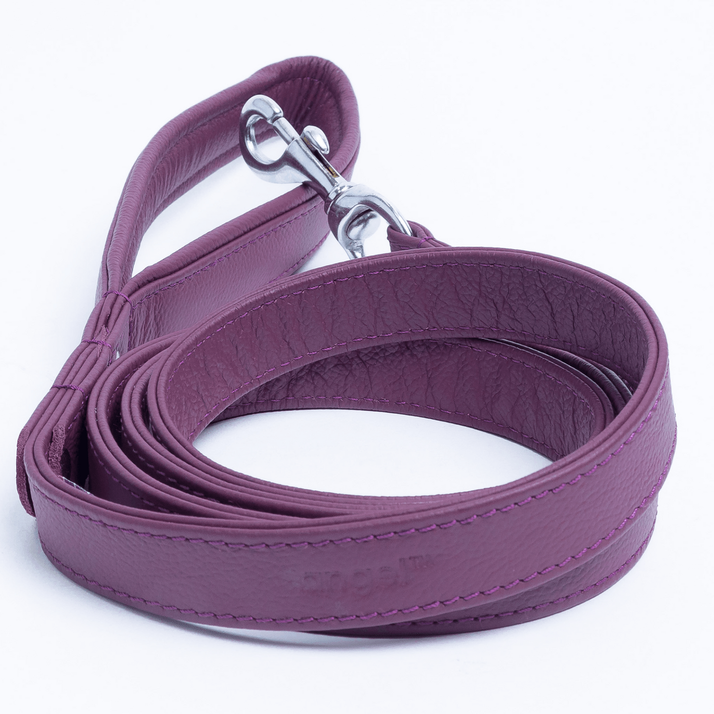 Alpine Dog Leash - Experience Unrivaled Comfort and Style