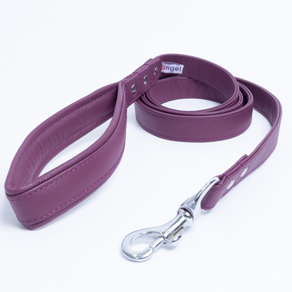 Alpine Dog Leash - Experience Unrivaled Comfort and Style