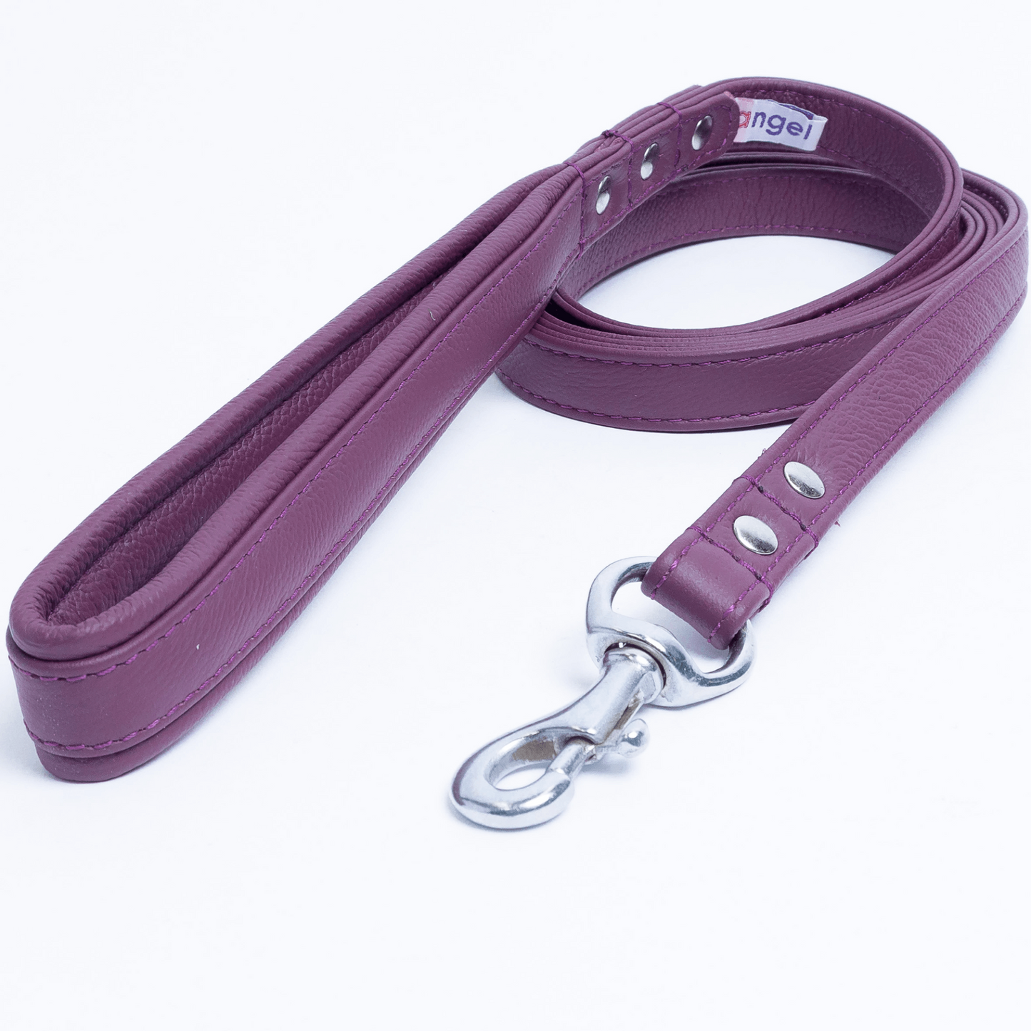 Alpine Dog Leash - Experience Unrivaled Comfort and Style