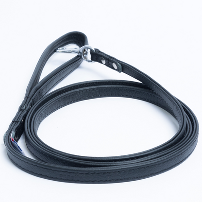 Alpine Dog Leash - Experience Unrivaled Comfort and Style