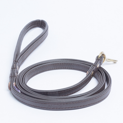 Alpine Dog Leash - Experience Unrivaled Comfort and Style