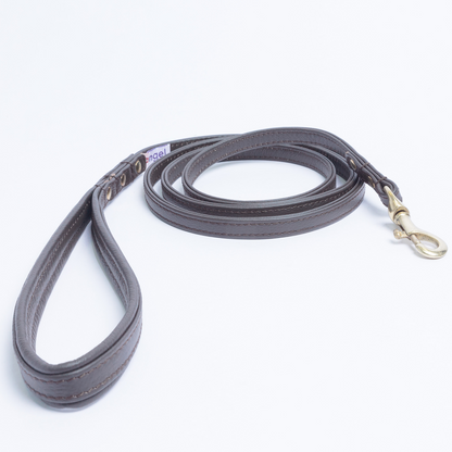 Alpine Dog Leash - Experience Unrivaled Comfort and Style