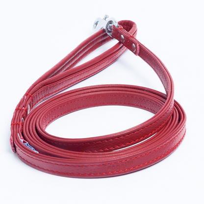 Alpine Dog Leash - Experience Unrivaled Comfort and Style