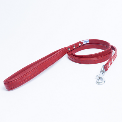 Alpine Dog Leash - Experience Unrivaled Comfort and Style