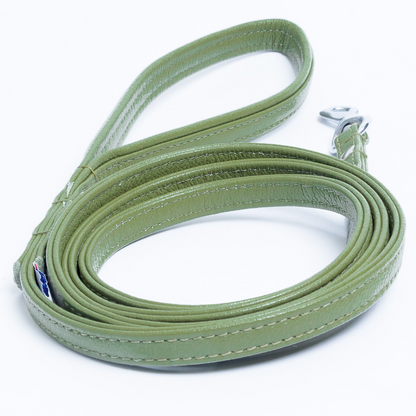 Alpine Dog Leash - Experience Unrivaled Comfort and Style