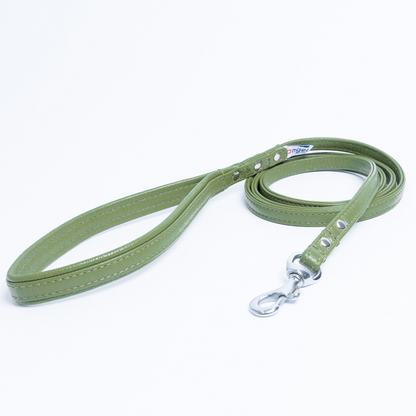 Alpine Dog Leash - Experience Unrivaled Comfort and Style