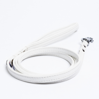 Alpine Dog Leash - Experience Unrivaled Comfort and Style