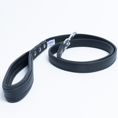 Alpine Dog Leash - Experience Unrivaled Comfort and Style