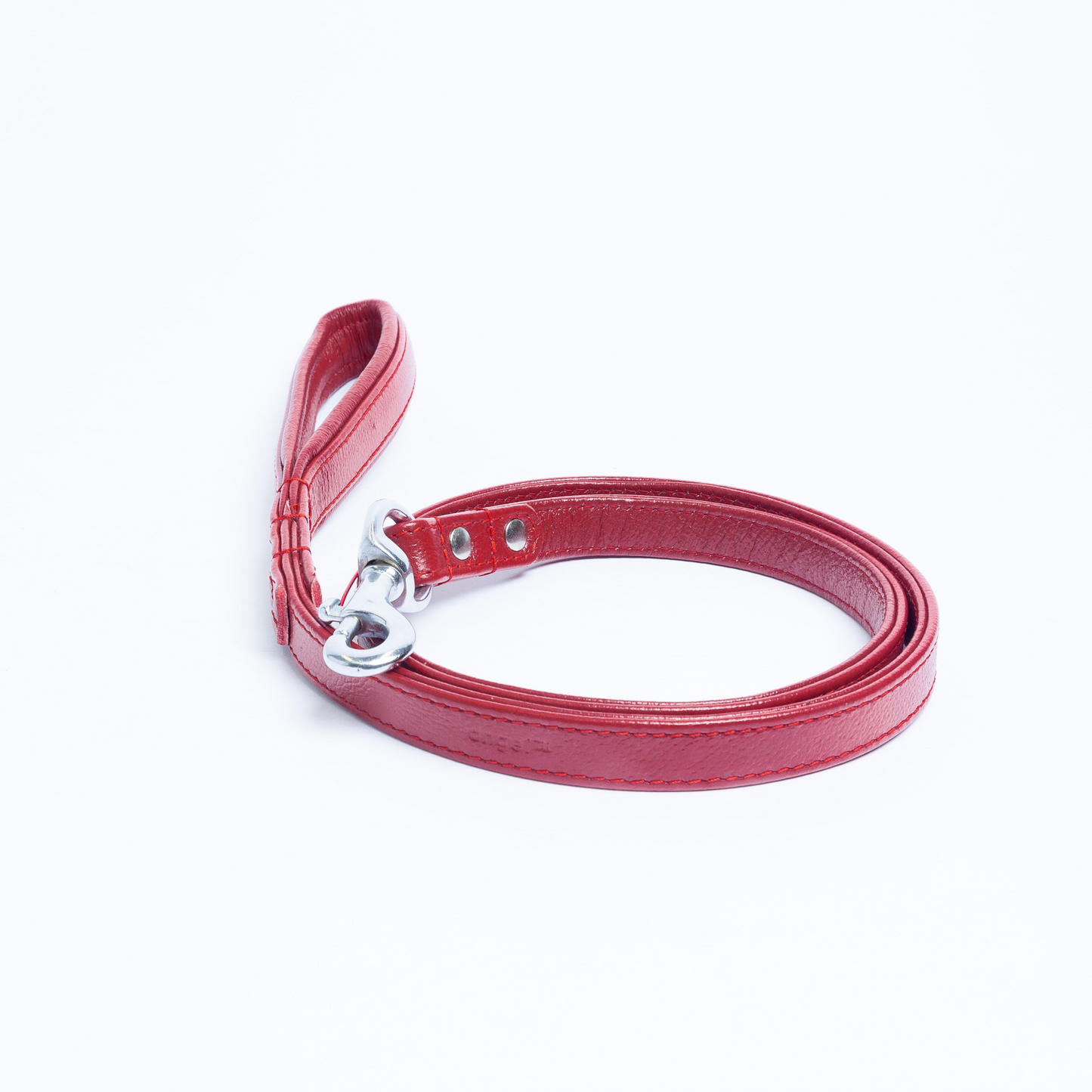 Alpine Dog Leash - Experience Unrivaled Comfort and Style