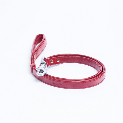 Alpine Dog Leash - Experience Unrivaled Comfort and Style